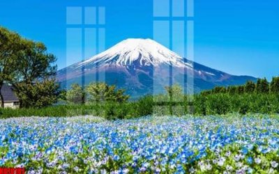 File in ấn chuyên nghiệp File tranh in décor tranh treo tường tổng hợp KD10187 (file gốc)