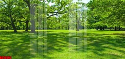 File tranh File tranh in décor tranh treo tường tổng hợp KD10192 (bản gốc) in canvas