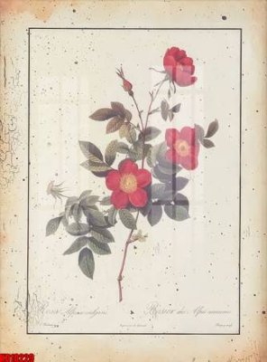 File in lụa File tranh in décor tranh treo tường tổng hợp KD10229 (hoa văn) File tranh in décor tranh treo tường tổng hợp KD10229