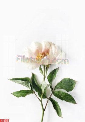 File tranh gốc in trần nhà File gốc in tranh nền tường tổng hợp KD107 3D