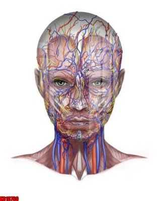 File PSD File tranh in décor tranh treo tường tổng hợp KD10760 (gốc) nhiều lớp (multi-layer)