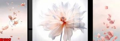 Download file File tranh in décor tranh treo tường tổng hợp KD10847 (gốc) cho xưởng in