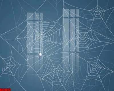 File in trần File tranh in décor tranh treo tường tổng hợp KD10873 (bản gốc) đại dương