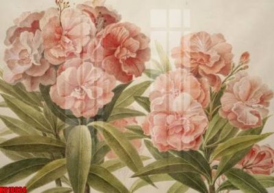 File in ấn chuyên nghiệp File tranh in décor tranh treo tường tổng hợp KD10934 (file gốc)