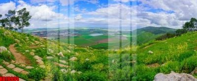 File gốc File tranh in décor tranh treo tường tổng hợp KD10994 (in tráng gương) sang trọng