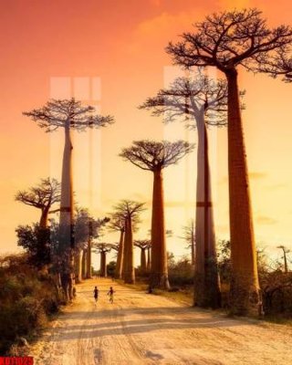 File gốc File tranh in décor tranh treo tường tổng hợp KD11025 (in lụa) chi tiết cao