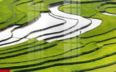 Download file gốc File tranh in décor tranh treo tường tổng hợp KD11102 (dùng cho in ấn)