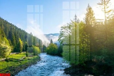 File in mica File tranh in décor tranh treo tường tổng hợp KD11240 (bản gốc) làm vách ngăn