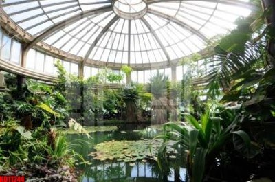 File tranh File tranh in décor tranh treo tường tổng hợp KD11244 (gốc) chủ đề tĩnh vật