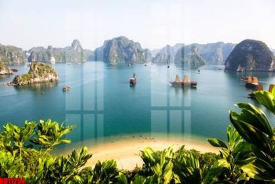 Tải file gốc in lụa File tranh in décor tranh treo tường tổng hợp KD11254 siêu nét