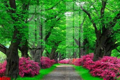 File in trần File tranh in décor tranh treo tường tổng hợp KD11267 (bản gốc) bầu trời