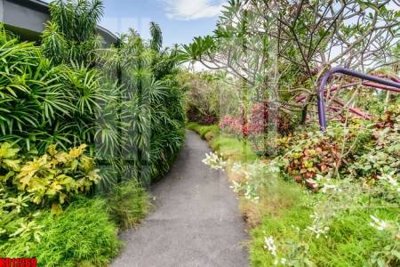 File gốc File tranh in décor tranh treo tường tổng hợp KD11269 (thiết kế) độc quyền