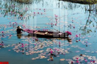 File gốc File tranh in décor tranh treo tường tổng hợp KD11273 (chủ đề hiện đại) trang trí