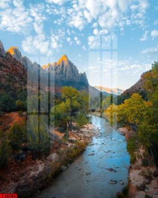 Tệp tin gốc File tranh in décor tranh treo tường tổng hợp KD11275 (dùng cho in) File tranh in décor tranh treo tường tổng hợp KD11275