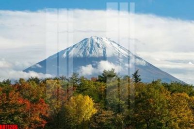 Tải file File tranh in décor tranh treo tường tổng hợp KD11286 (gốc) chủ đề tâm linh