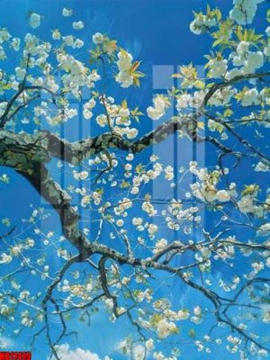 File in lụa File tranh in décor tranh treo tường tổng hợp KD11419 (tân cổ điển) File tranh in décor tranh treo tường tổng hợp KD11419