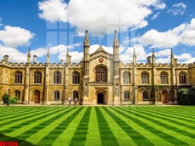 Tải file File tranh in décor tranh treo tường tổng hợp KD11566 (ảnh gốc) độ phân giải 300dpi