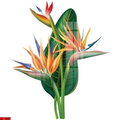 Tải file File tranh in décor tranh treo tường tổng hợp KD11567 (PSD) cho in tranh 3D