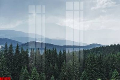 File ảnh File tranh in décor tranh treo tường tổng hợp KD11575 (gốc) cho trang trí nhà hàng