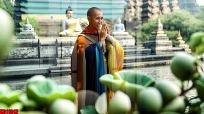 Tải file File tranh in décor tranh treo tường tổng hợp KD11842 (gốc) để in ấn ngay