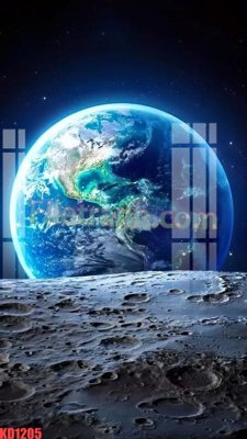 File tranh File gốc in tranh nền tường tổng hợp KD1205 (gốc) chủ đề động vật