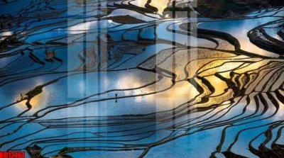 File in mica File tranh in décor tranh treo tường tổng hợp KD12161 (bản gốc) làm vách ngăn