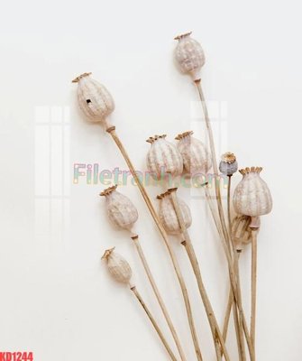 File ảnh File gốc in tranh nền tường tổng hợp KD1244 (gốc) in standee