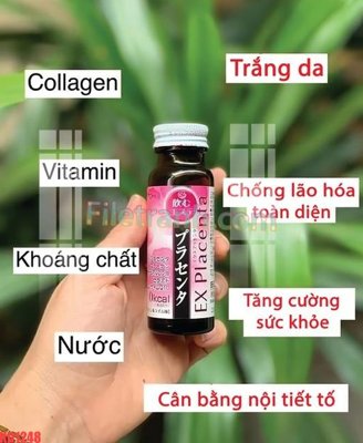 File in trần File gốc in tranh nền tường tổng hợp KD1248 (file gốc) hoa văn 3D