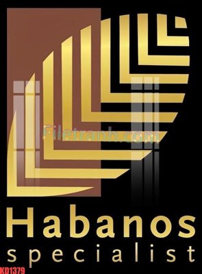 File tranh File gốc in tranh nền tường tổng hợp KD1379 (gốc) in film