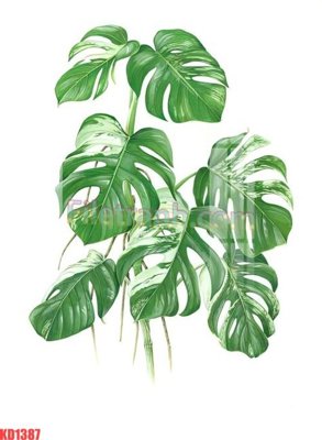 File tranh File gốc in tranh nền tường tổng hợp KD1387 (gốc) chủ đề động vật