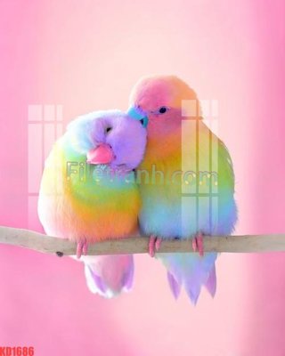 Download file File gốc in tranh nền tường tổng hợp KD1686 (chuẩn in) File gốc in tranh nền tường tổng hợp KD1686