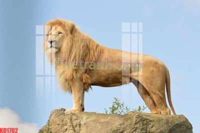 File tranh File gốc in tranh nền tường tổng hợp KD1702 (gốc) chủ đề con người