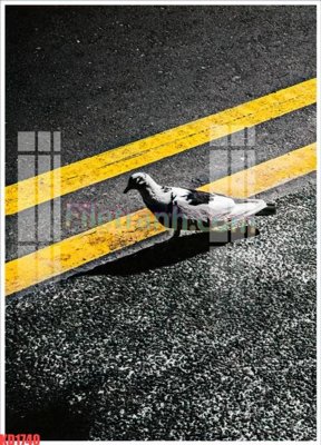 File gốc File gốc in tranh nền tường tổng hợp KD1740 (ảnh rõ nét) để in