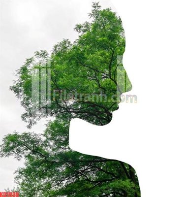 File in lụa File gốc in tranh nền tường tổng hợp KD1938 (phong cảnh) File gốc in tranh nền tường tổng hợp KD1938