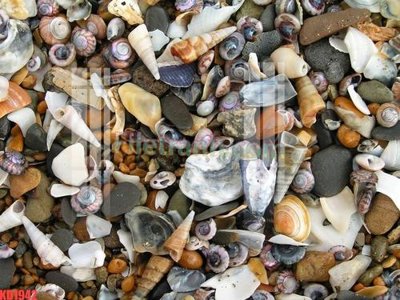 Ảnh gốc File gốc in tranh nền tường tổng hợp KD1942 (siêu chi tiết) để in ấn