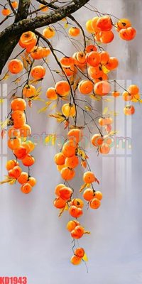 File in trần File gốc in tranh nền tường tổng hợp KD1943 (bản gốc) trời sao