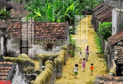 File in trần File gốc in tranh nền tường tổng hợp KD2116 (file gốc) hoa văn 3D