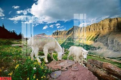 File gốc in ấn File gốc in tranh nền tường tổng hợp KD2158 (sẵn sàng tải về)