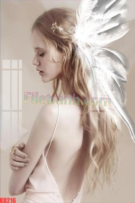 File in trần File gốc in tranh nền tường tổng hợp KD216 (bản gốc) đại dương