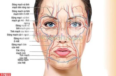 Chi tiết file ảnh File gốc in tranh nền tường tổng hợp KD2199 sắc nét