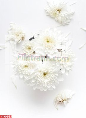 File ảnh File gốc in tranh nền tường tổng hợp KD2228 (gốc) trang trí khách sạn