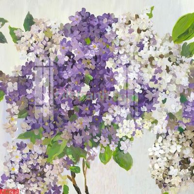 File tranh File gốc in tranh nền tường tổng hợp KD2269 (gốc) chủ đề tĩnh vật