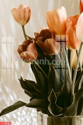 Tải file gốc File gốc in tranh nền tường tổng hợp KD2311 (in khổ lớn) không mờ