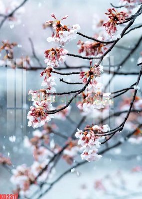 File tranh File gốc in tranh nền tường tổng hợp KD2317 (gốc) phong cách tối giản