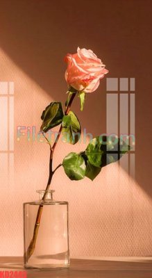 Mua file gốc File gốc in tranh nền tường tổng hợp KD2443 (chất lượng) tại Filetranh.com