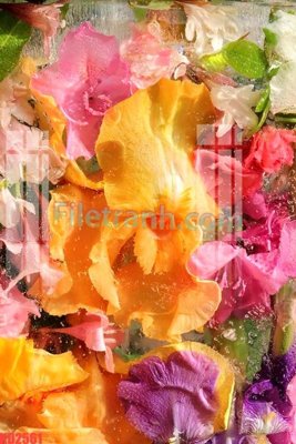 Ảnh gốc file in lụa File gốc in tranh nền tường tổng hợp KD2561 chi tiết