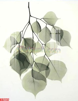 Download file File gốc in tranh nền tường tổng hợp KD2737 (gốc) in mica cao cấp