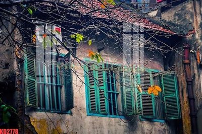 Tải file File gốc in tranh nền tường tổng hợp KD2778 (gốc) để in ấn ngay