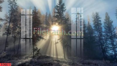 File tranh File gốc in tranh nền tường tổng hợp KD3785 (bản gốc) trang trí văn phòng