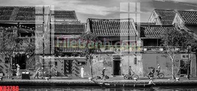 File tranh File gốc in tranh nền tường tổng hợp KD3786 (gốc) chủ đề tĩnh vật